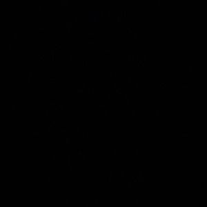 FOR LAUREN! clothing items!